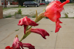 20150825_180638