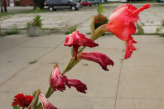 20150825_180640
