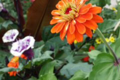 20150825_180649