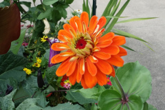20150825_180651