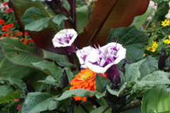 20150825_180655