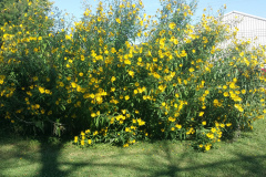 20150910_110650