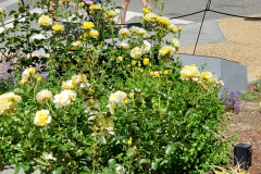 20190524_145906