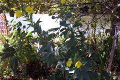 Center-20100908-00079