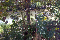 Center-20100908-00080