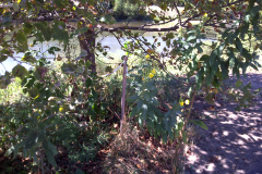 Center-20100908-00081