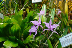 DSC01291