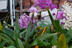 DSC01299