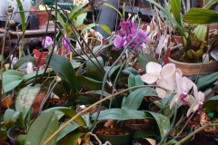 DSC01300