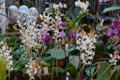 DSC01302