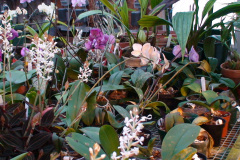 DSC01304