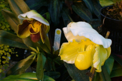 DSC01305