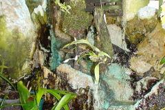 DSC01309