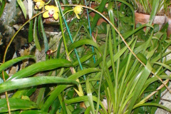 DSC01310