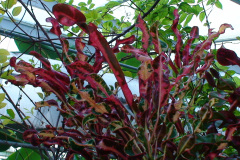 DSC01312