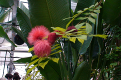 DSC01314