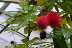 DSC01316