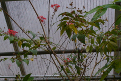 DSC01317