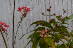 DSC01318