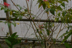 DSC01319