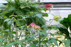 DSC01321