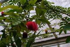 DSC01325