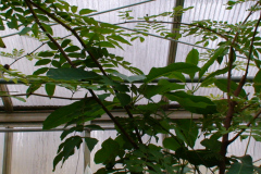 DSC01326