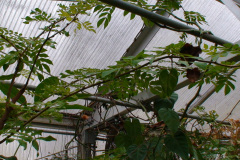 DSC01327