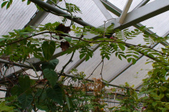 DSC01328
