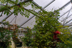 DSC01329