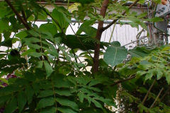 DSC01331