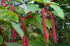 DSC01332
