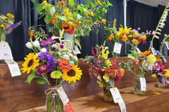 Flower-Contest-State-Fair-Aug-2023-15