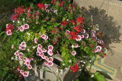 Flowers-in-Basket-May-2023-1