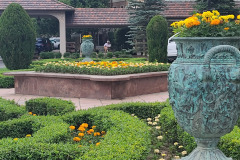 Marigolds-at-the-Broadmoor-July-2023-1