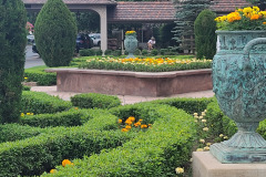 Marigolds-at-the-Broadmoor-July-2023-2