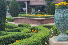Marigolds-at-the-Broadmoor-July-2023-3