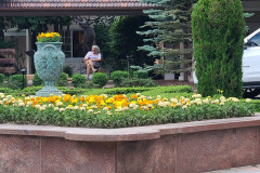 Marigolds-at-the-Broadmoor-July-2023-5