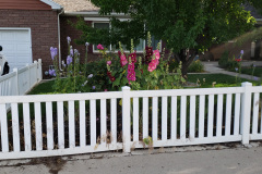 20190629_080739