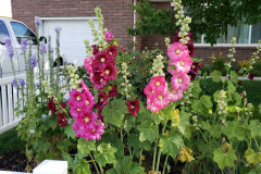 20190629_080749