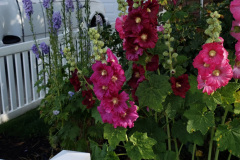 20190629_080754