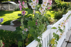 20190629_080802