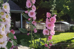 20190629_080815