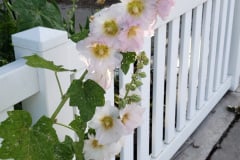 20190629_080822