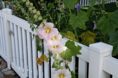 20190629_080826