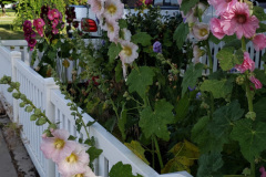 20190629_080835