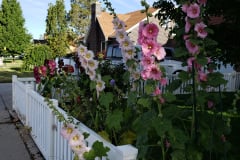 20190629_080841