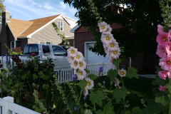 20190629_080848