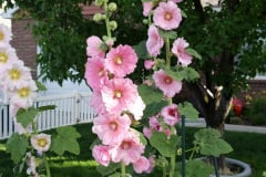 20190629_080851