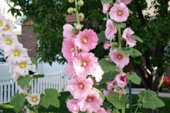 20190629_080858